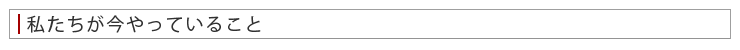 私たちが今やっていること